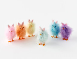 180 DEGREES FEATHERY CHICKS 5"