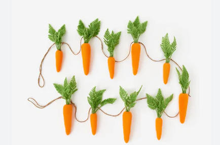 FLOCKED CARROT GARLAND 9'