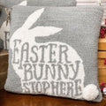 Bunny Stop Here Pillow 15"x15"